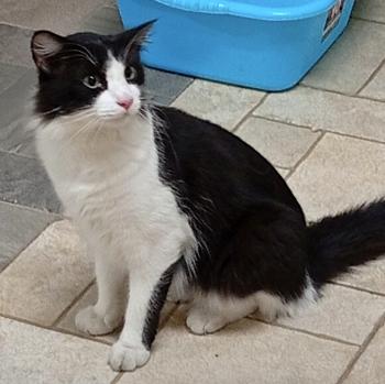 Loki Bild von Loki