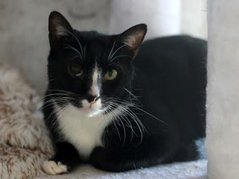 Balu Bild von Balu
