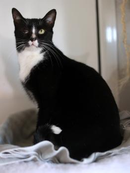 Balu Bild von Balu