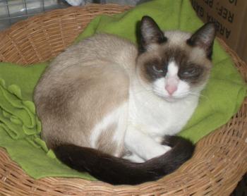 Nora Bild von Nora