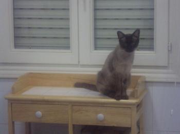 Amadeus Bild von Amadeus