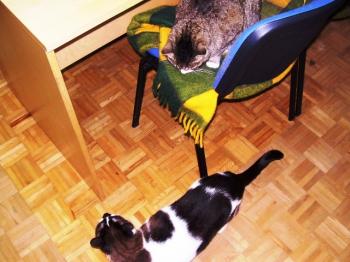 Nene Bild von Nene
