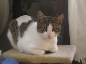 Paquito Bild von Paquito