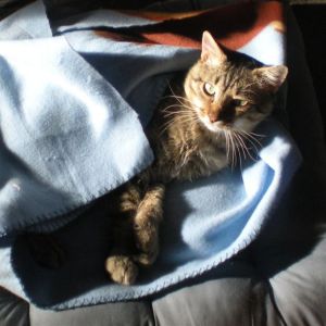 Mowgly Bild von Mowgly