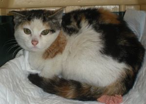 Barbara Bild von Barbara