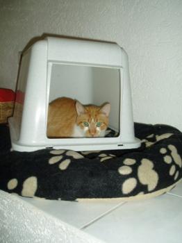 Filippo Bild von Filippo