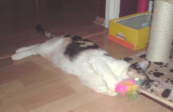 Mona Bild von Pomona