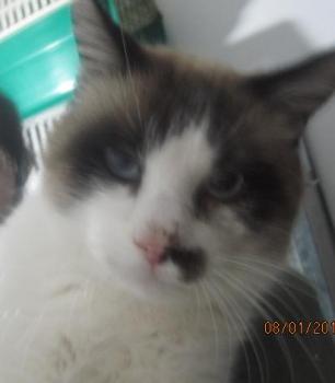 Bild von Pepon