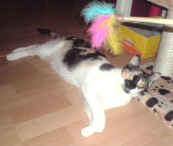 Mona Bild von Pomona