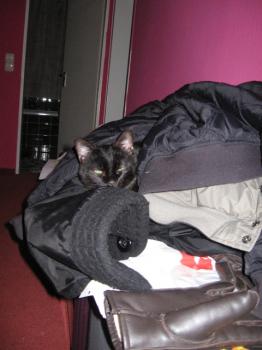 Kelly Bild von Kelly
