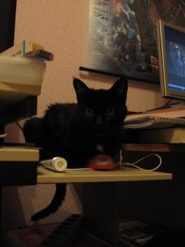 Kelly Bild von Kelly