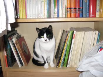 Nita Bild von Nita