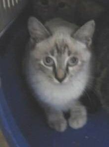 Lucia Bild von Lucia