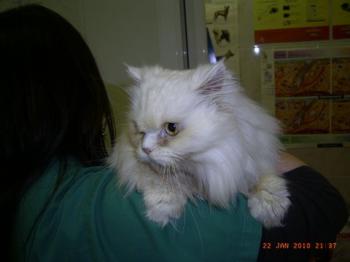Blanca Bild von Blanca