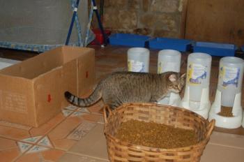 Migoya Bild von Migoya