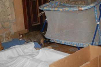 Migoya Bild von Migoya