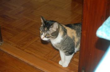 Nora Bild von Nora