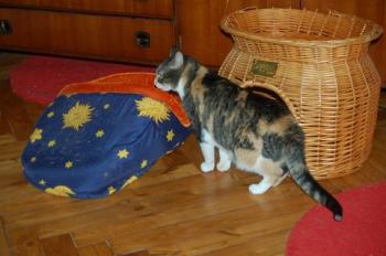 Nora Bild von Nora