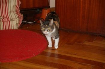 Nora Bild von Nora