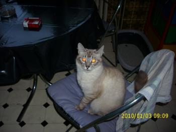 Bild von Sammy