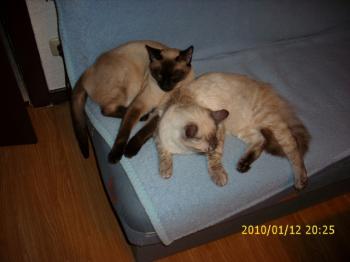 Bild von Sammy