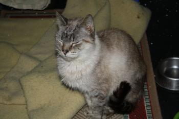 Estela Bild von Estela