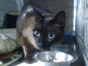 Mika Bild von Mika