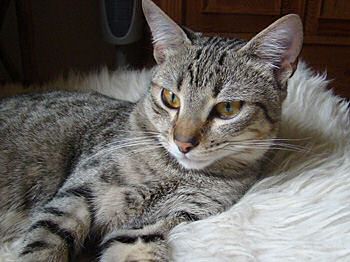Bild von Txiki