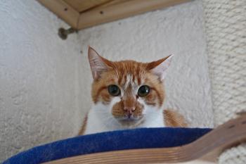 Filippo Bild von Filippo
