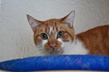 Fillipo Bild von Filippo