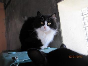 Ohne Bild von Zarah