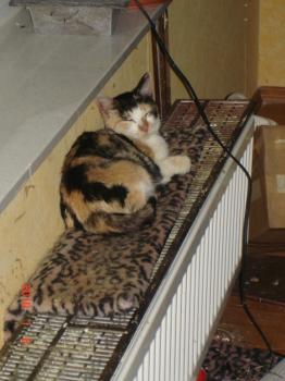Lucky Bild von Lucky