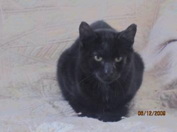 Bilbo Bild von Bilbo