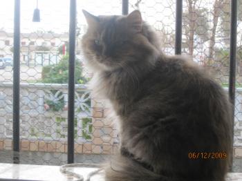 Cloe Bild von Cloe