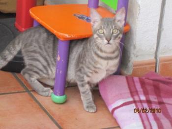 marlon Bild von Marlon