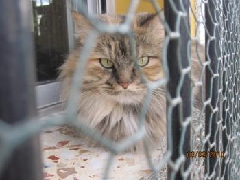 Cloe Bild von Cloe