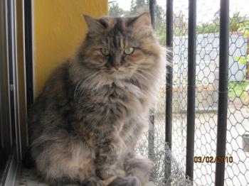 Cloe Bild von Cloe