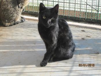 Bild von Titze