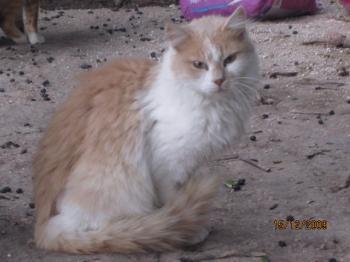 Ohne Bild von Rosalie