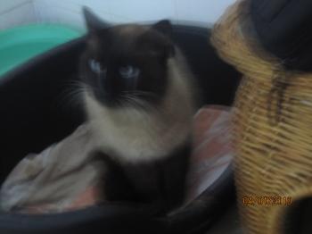 Ohne Bild von Felix