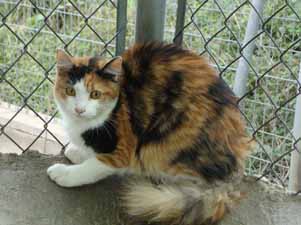 4676 Bild von Emely