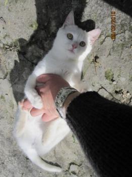 Blancanieves+Sammy Bild von Blancanieves