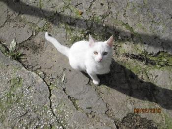 Blancanieves+Sammy Bild von Blancanieves