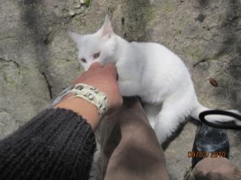 Blancanieves+Sammy Bild von Blancanieves