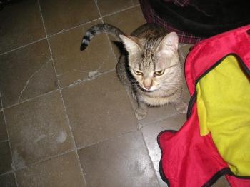 Caneli Bild von Caneli