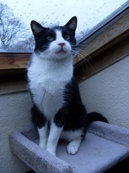 Nici Bild von Bucks