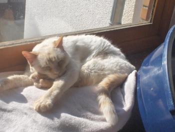 Blanquita Bild von Blanquita