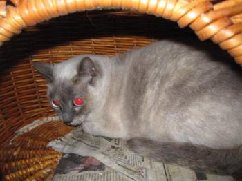 Ohne Bild von Isabella