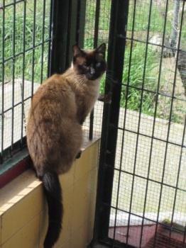 Ohne Bild von Toffee
