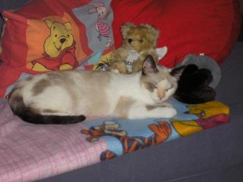 Daisy Bild von Daisy